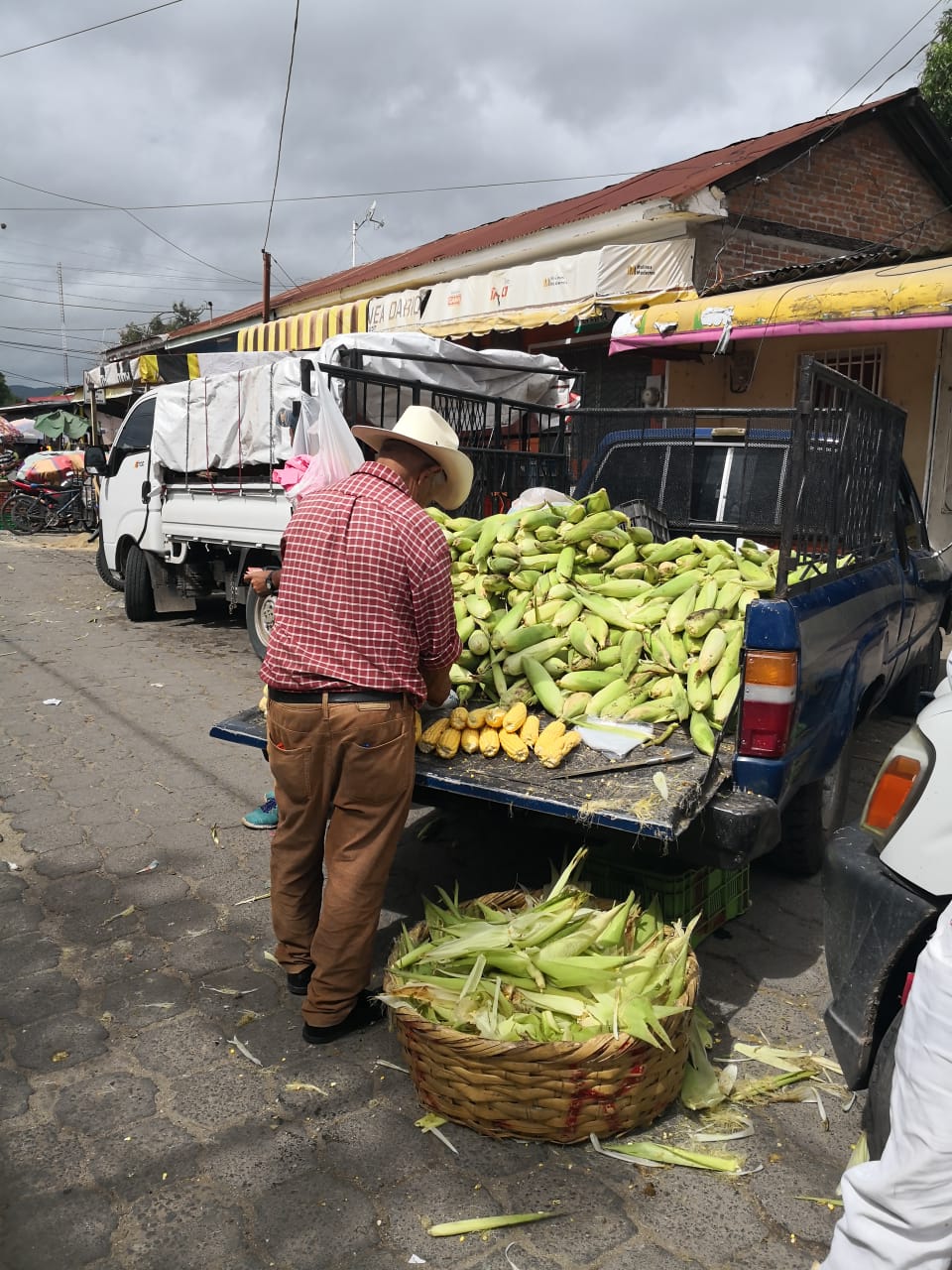 esteli